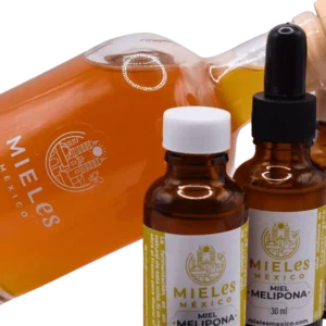Miel melipona