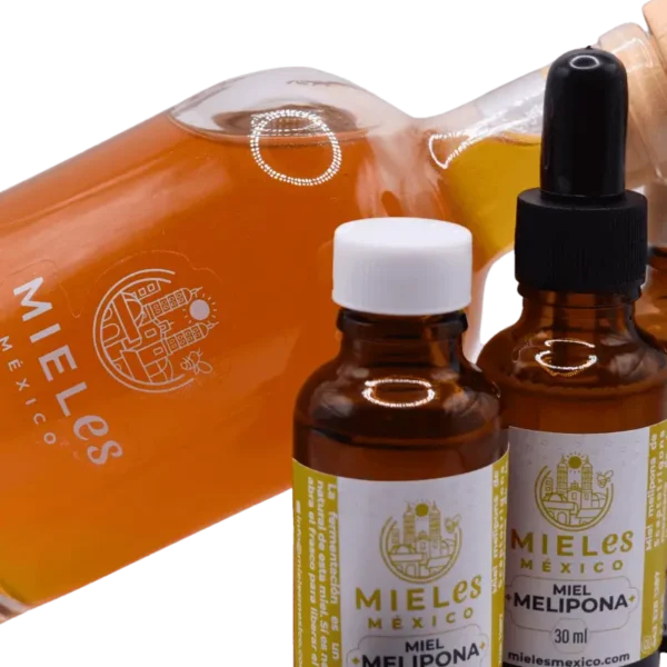 Miel melipona