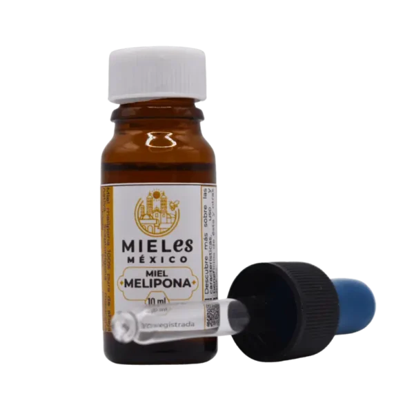 Miel melipona - Imagen 2