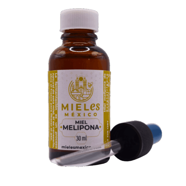 Miel melipona - Imagen 3